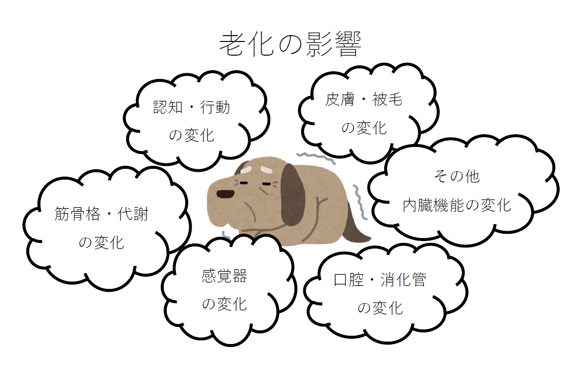 高齢介護に関するセミナー 資料1