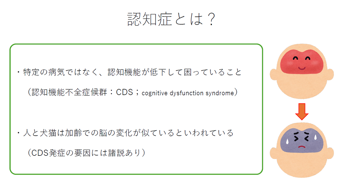 高齢介護に関するセミナー 資料2