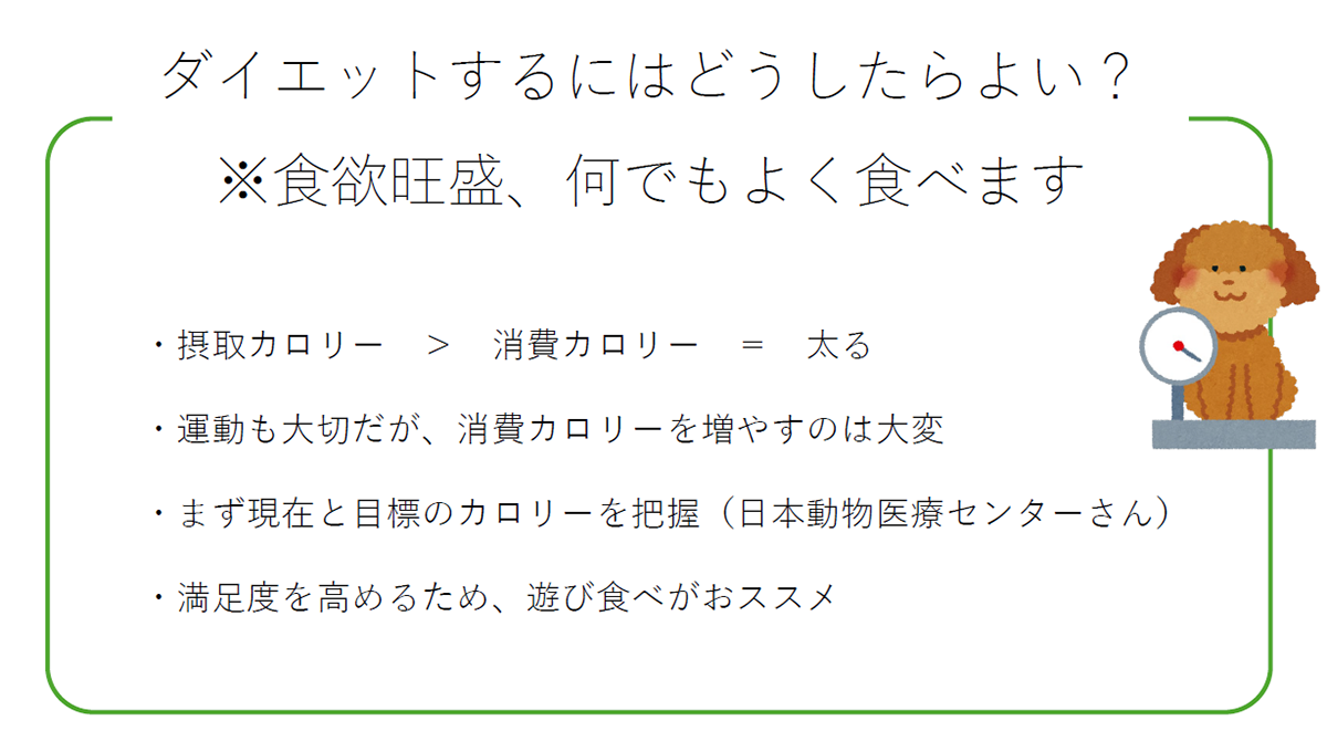 しつけに関する質問会 資料1