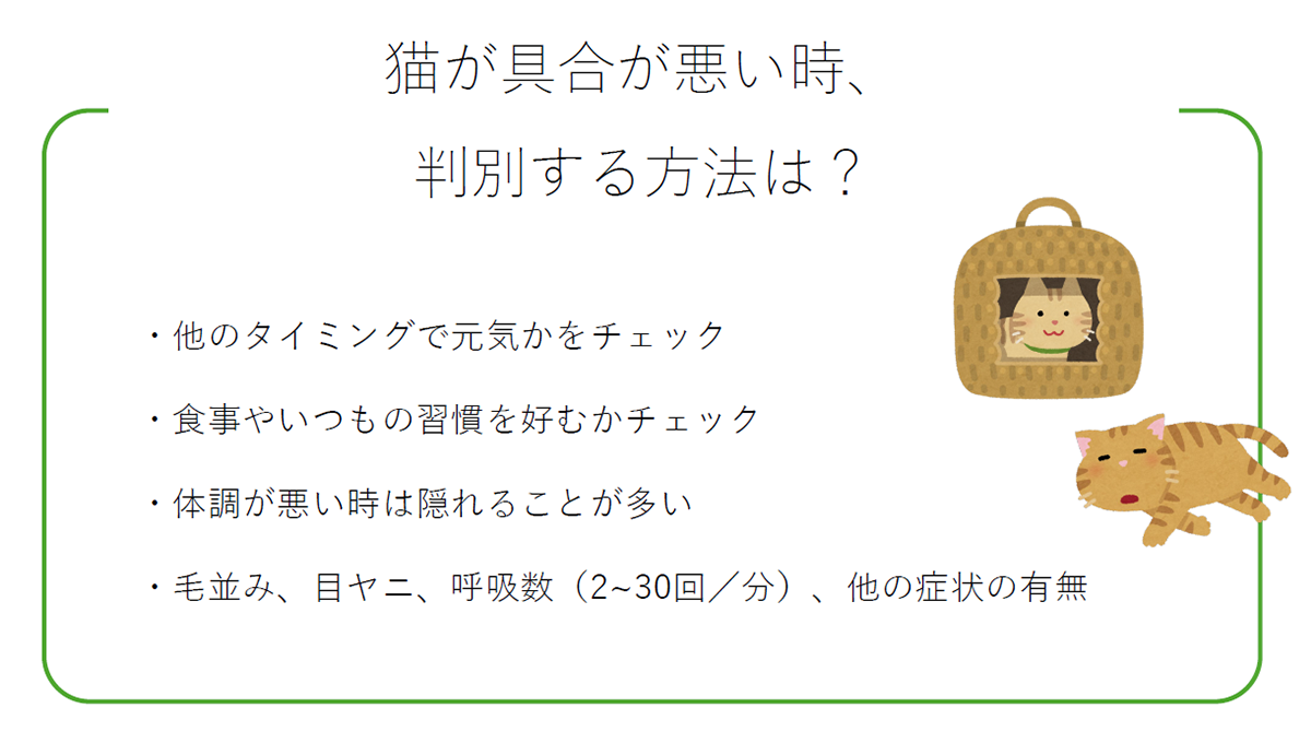しつけに関する質問会 資料2